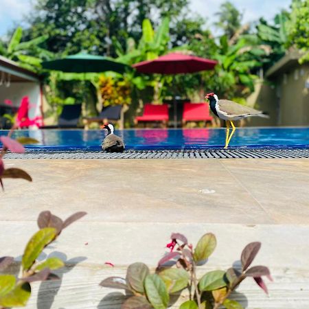 The Kingslayer Resort Negombo Buitenkant foto