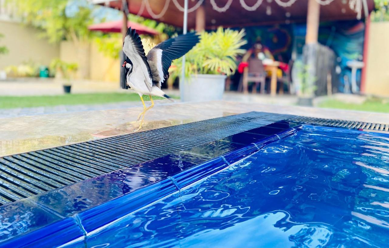 The Kingslayer Resort Negombo Buitenkant foto